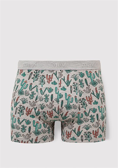 Kaktüs Desenli Gri Boxer 091122-23854