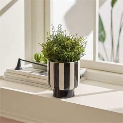 Karaca Home Belissia Saksı 12.5x12.5x13.5 cm