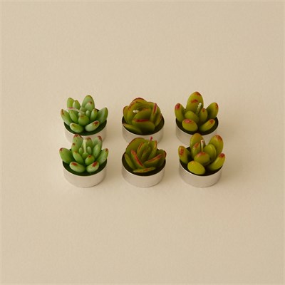 Karaca Home Sukulent 6lı Tealight Mum