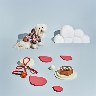 Karaca Home X Pati Barney Köpek Tasması Kırmızı S Beden