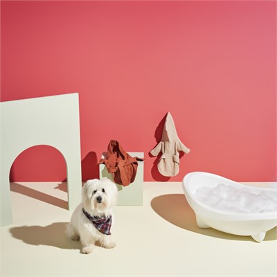 Karaca Home X Pati Gingham Köpek Kırmızı Fular