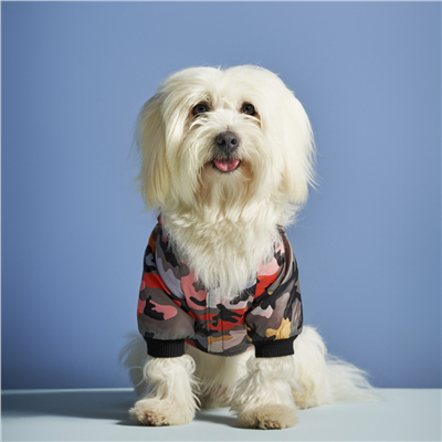 Karaca Home X Pati Molly Köpek Yağmurluk 2XL Beden