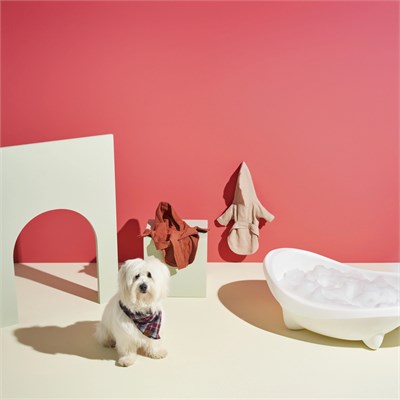 Karaca Home X Pati Oliver Pet Bornoz Bej