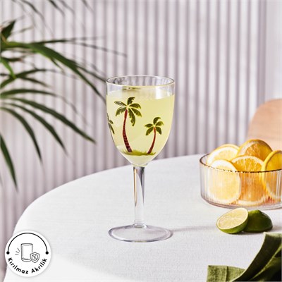 Karaca Palmera Akrilik Kadeh 420 ml Şeffaf