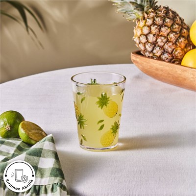 Karaca Pina Akrilik Su Bardağı 440 ml Şeffaf