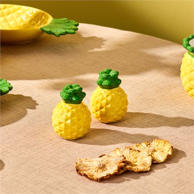 Karaca Pineapple Tuzluk Biberlik