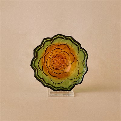 Karaca Sukulent Çerezlik 10 cm