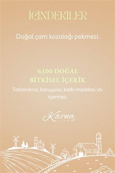 Karna Life Doğal Kozalak Pekmezi 850 Gr