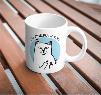 Kedi Baskılı İyiyim Ben Komik Kupa Bardak Hediyelik Çay Kahve Kupası Coffee Mug