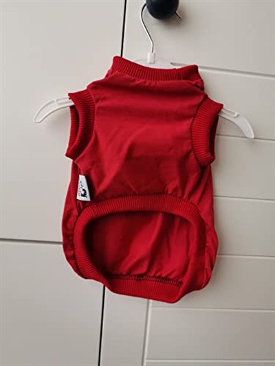 Kedi köpek kıyafetleri yazlık tshirt 2li set (Kırmızı sarı ıkılı t-shirt/L)