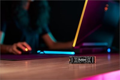 Kingston Renegade 2TB PCI-Express 4.0 7300/7000 Mb/s M.2 SSD Bellek SRNGD/2000G - Seçenekler: Fast, Faster, 500GB, 2000GB, 1000GB, 4000GB