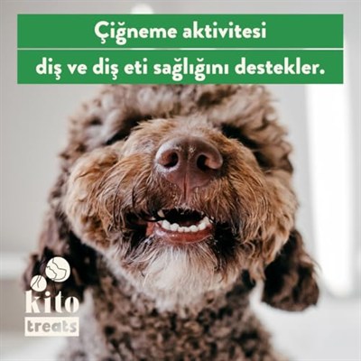 Kito Dana Akciğer Küp Atıştırmalık Köpek Ödül Maması%100 Doğal, Glutensiz, Organik 100 gr (Dog Treat)