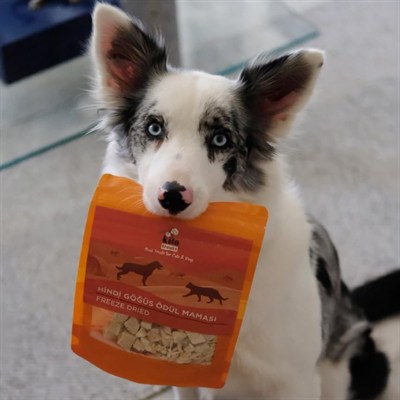 Kito Freeze Dried Hindi Göğüs Köpek Ödül Maması%100 Doğal, Glutensiz 30 gr(Dog Treat)