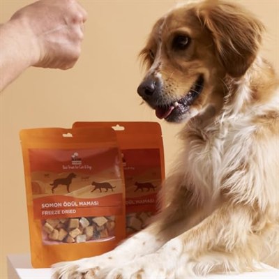 Kito Freeze Dried Somon Köpek Ödül Maması%100 Doğal, Glutensiz 30 gr(Dog Treat)