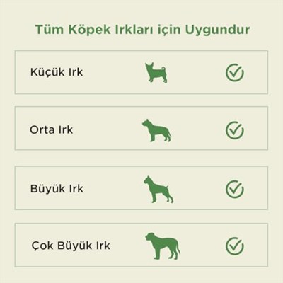 Kito Kurutulmuş Dana Kelle Derisi Çiğnemelik Köpek Ödül Maması%100 Doğal, Glutensiz, Organik 100 gr (Dog Treat)