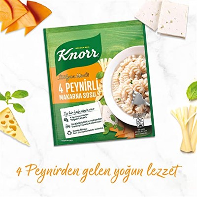 Knorr Makarna Sosu İtalyan Usulü 4 Peynirli 50 g
