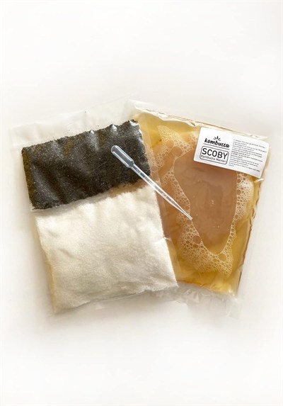 Kombuçça Organik Başlangıç Kiti Mantarı SCOBY - Kombu Çayı - Kambuça Kültürü Mayası