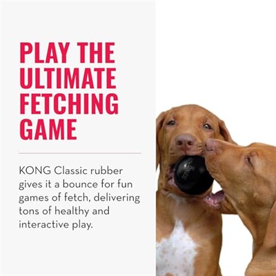 Kong 6.5 cm S Extreme Top Köpek Oyuncağı