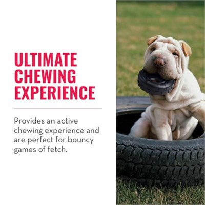 Kong Köpek Extreme Kauçuk Oyuncak Lastik S 9cm