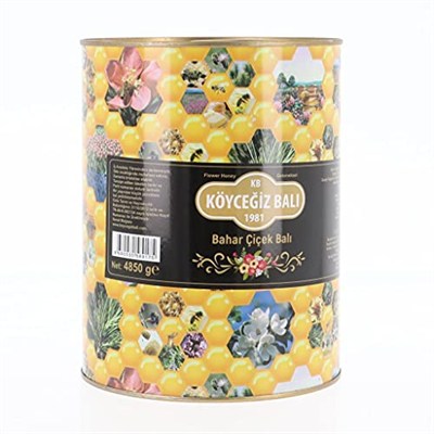 Köyceğiz Balı Bahar Çiçek Balı 4850 G Teneke