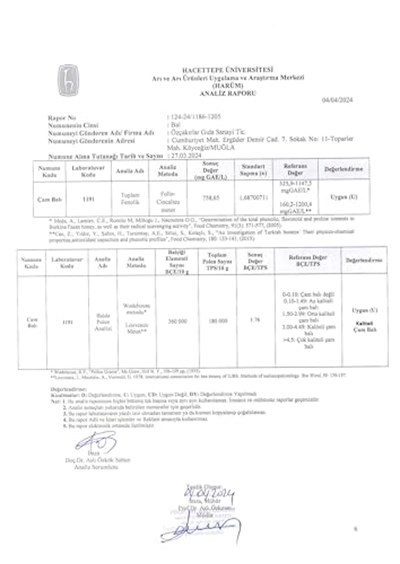 Köyceğiz Balı Çam Balı 45 G Cam Kavanoz