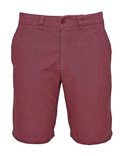 Lafuma Staten Erkek Şort LFV10705 Bronz 48