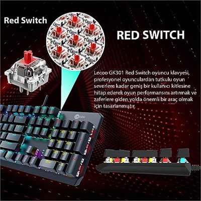 Lecoo GK301 USB Kablolu Red Switch Mekanik Oyuncu Klavyesi - Makro Tuş Atamalı, RGB LED Aydınlatmalı, QWERTY Türkçe Tuş Dizilimi, Gaming Türkçe Q Klavye Metalik Gri