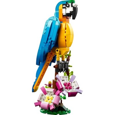 LEGO Creator Egzotik Papağan 31136-7 Yaş ve Üzeri Çocuklar için Papağan, Balık ve Kurbağa Modelleri İçeren Yaratıcı Oyuncak Yapım Seti (253 Parça)