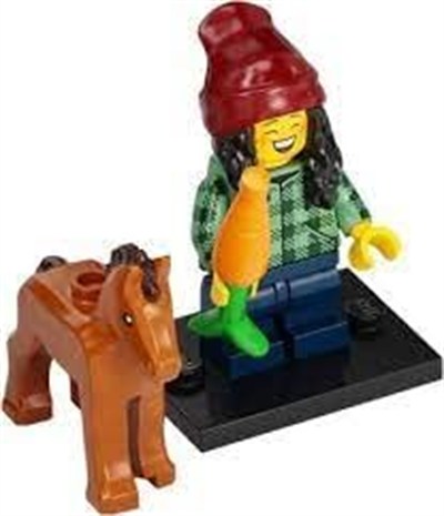 LEGO Minifigure Serisi 22 At ve Damat 71032