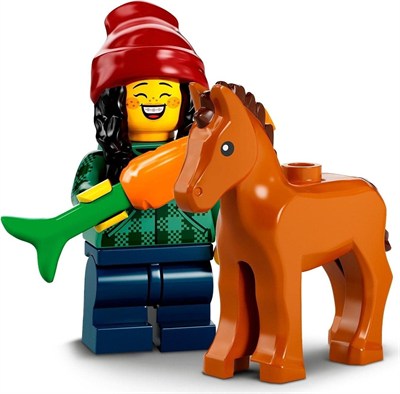 LEGO Minifigure Serisi 22 At ve Damat 71032