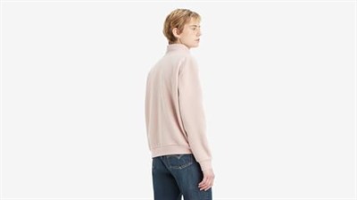 Levis Everyday 1/4 Zip Sweatshirt Sweatshirt Kadın