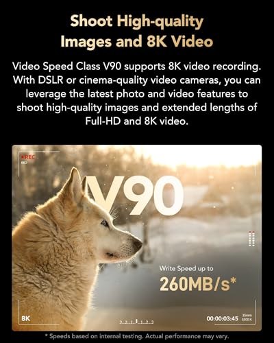 Lexar Professional 2000x SD Kart 128 GB, SDXC UHS-II Hafıza Kartı, 300 MB/snye Kadar Okuma, 260 MB/sn Yazma, Sınıf 10, U3, V90 SDXC Kart DSLR için, Full-HD Sinema Kalitesinde 8K Video Kameralar