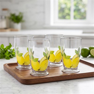 Lucky Art Limora Akrilik 475 Ml 4’lü Bardak Seti