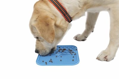 M-PETS LECCA SIVI ÖDÜL MATI MAVİ (M)