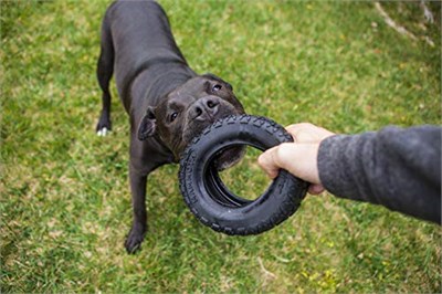 Mamut TireBiterII - Aşırı Çiğneme için Doğal Kauçuk Köpek Oyuncakları - Ekstra Uzun İnteraktif Oyun için Köpek Oyuncakları - Orta - Büyük Köpekler  - Seçenekler: Large 6