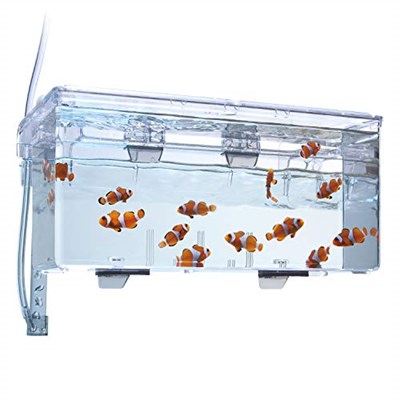 Marina Fluval Hang-On yetiştirme havuzu L, 1,9 l kapasiteli, balıklar için, akvaryum için