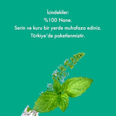 Mesh Stick Nane Çayı 2 Paket Bir Arada 2 x 16