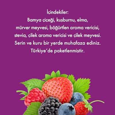 Mesh Stick Orman Meyveleri Karışık Meyve Çayı 2 Paket Bir Arada 2 x 16