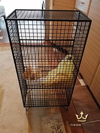 Metal Ayaklı Raf 3 Gözlü Sebzelik, Meyvelik Raf WD62S