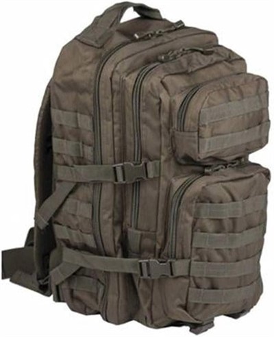 Mil-Tec Ranger Assault Pack - Sağlam Dayanıklı Hafif Çok Yönlü Taktik Açık Hava Kamp Yürüyüş Sırt Çantası Ayarlanabilir Yastıklı Omuz Askıları ve MOLLE Döngüleri ile