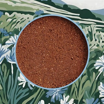 Mim and More Chicory Coffee - Hindiba Öğütülmüş Filtre Kahve, 200 Gr