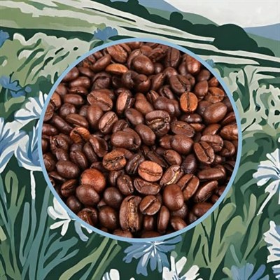 Mim and More Chicory Coffee - Hindiba Öğütülmüş Filtre Kahve, 200 Gr