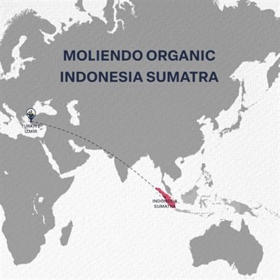 Moliendo Finest Coffee Organic Indonesia Sumatra Yöresel Kahve (Çekirdek) 250 g