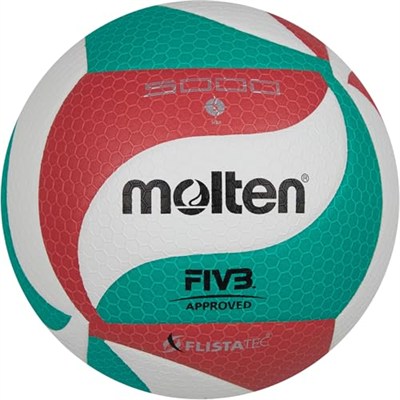 Molten Volleyball