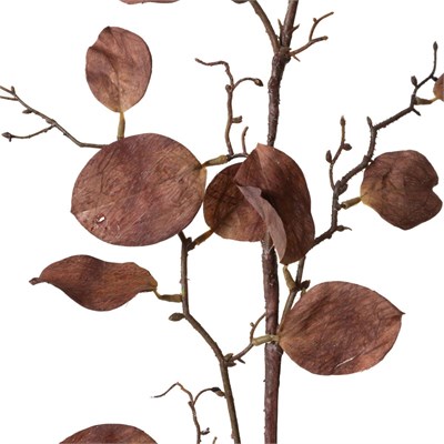 Mudo Home Bordo Yaprak Dal Çi̇çek 104 Cm