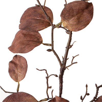 Mudo Home Bordo Yaprak Dal Çi̇çek 104 Cm