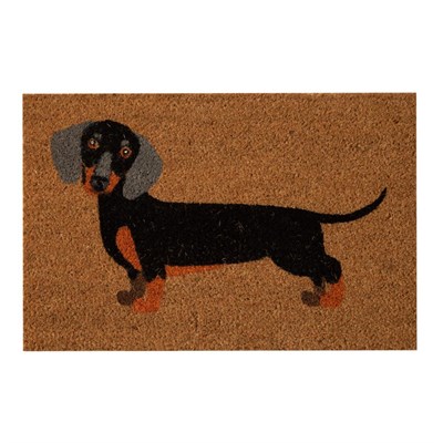 Mudo Home Dog Kapi Paspas 40x60 Cm