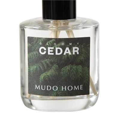 Mudo Home Gloomy Cedar Oda Kokusu 95 Ml