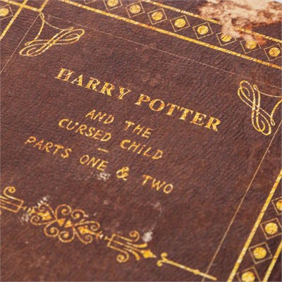 Mudo Home Harry Potter Ki̇tap Kutu 14x6x20 Cm