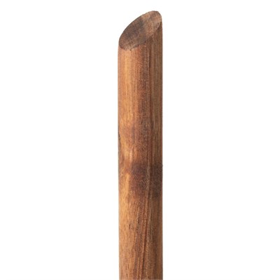 Mudo Home Kağit Havluluk Akasya 32cm